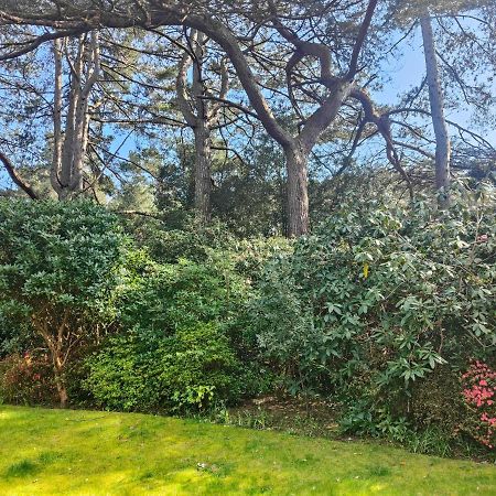 Peaceful Getaway In Forested Park Bournemouth Exterior foto