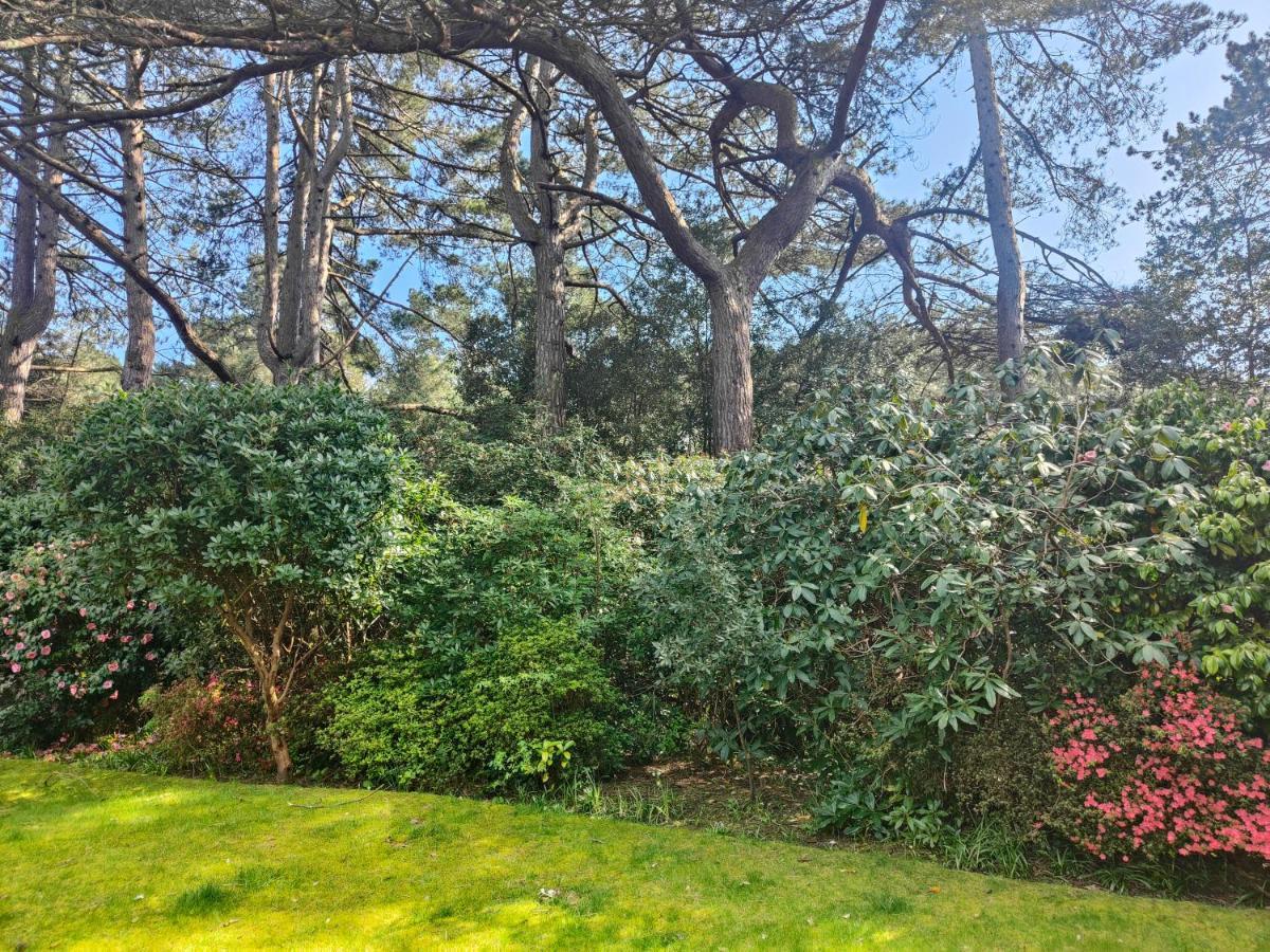 Peaceful Getaway In Forested Park Bournemouth Exterior foto
